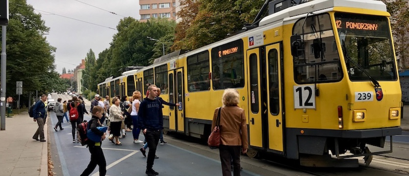 Tramwaje linii 11 i 12 wracają na Pomorzany. ZDiTM pokazał nowy rozkład jazdy