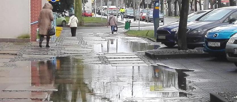 Sztandarowy przypadek „floating garden”. Dwie dekady (chodnikowej) niemocy