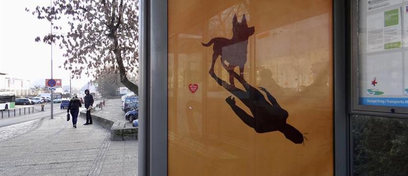 Gdzie dzwonić, gdy zwierzę jest w matni