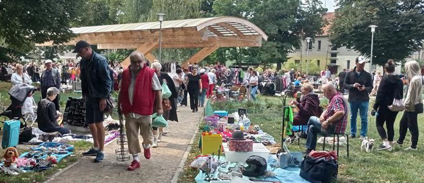 Pogodno na niedzielę. W poszukiwaniu skarbów