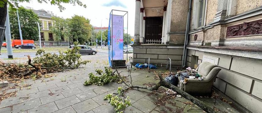 Wyjątkowy zabytek, ale widok nie zachwyca