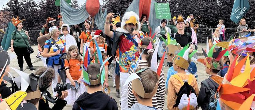 Ptasi korowód w centrum miasta