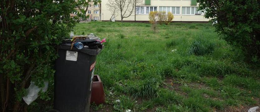 Kubeł czeka w krzakach. Konieczny jest porządek