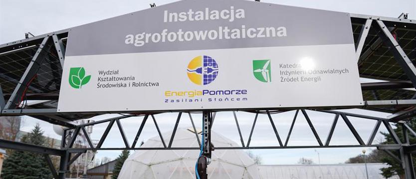 Szczecińscy naukowcy zbudują samowystarczalną farmę