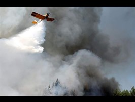 Wzrasta zagrożenie pożarowe w lasach