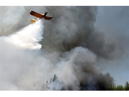 Wzrasta zagrożenie pożarowe w lasach