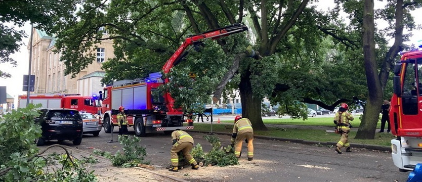 Groźnie na ulicy Szczerbcowej w Szczecinie. Konar drzewa spadł na samochód