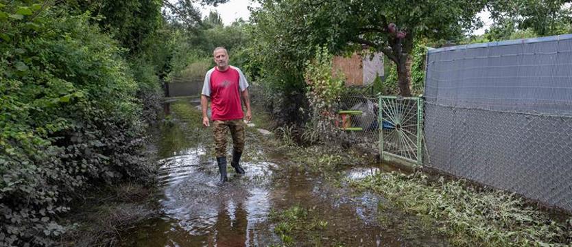 Zalane działki, rozmyta skarpa, zniszczony przepust. ROD Górki Ustowskie pod wodą