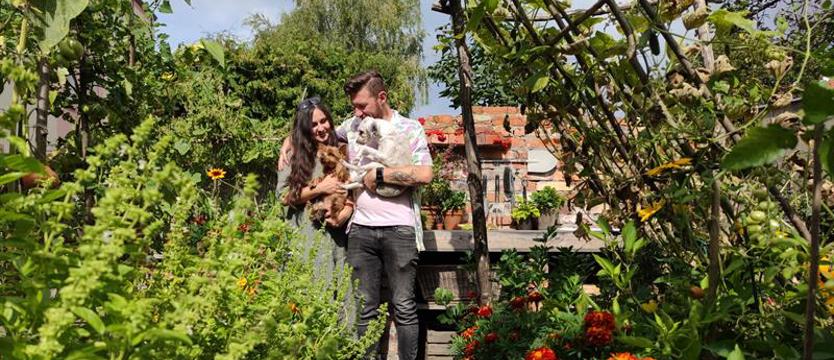 Tajemniczy ogródek wśród kamienic