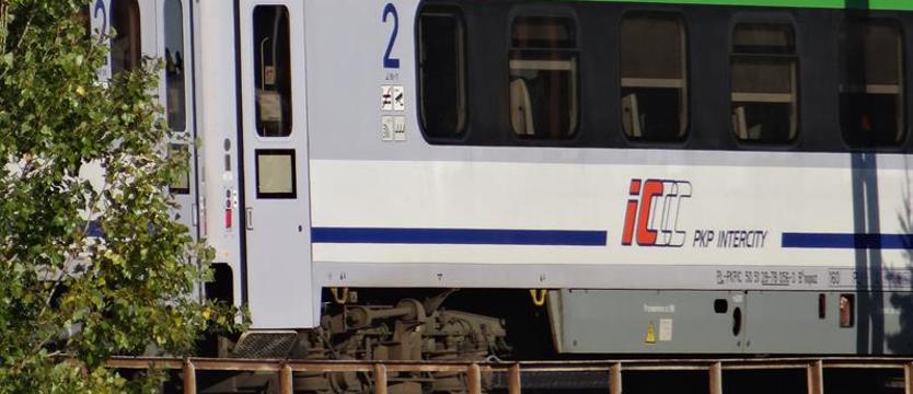 Pociąg Intercity wjechał w stado krów