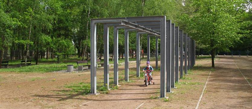 Brak zgody na wycinkę, czyli… Marszałek w obronie zieleni