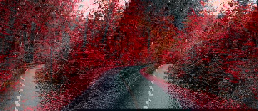 Uwaga na marznące opady w województwie zachodniopomorskim