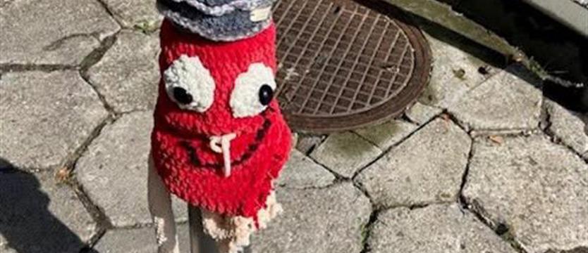 Książnica szuka skradzionych maskotek