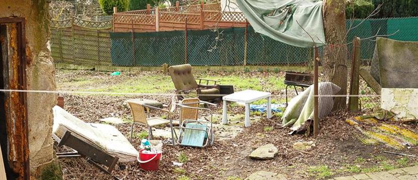 Brud, hałas i szczury. Mieszkańcy kontra dzicy lokatorzy