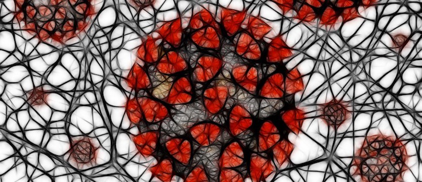 Mniej niż 600 zakażeń SARS-CoV-2 w kraju. Zmarło ponad 100 osób