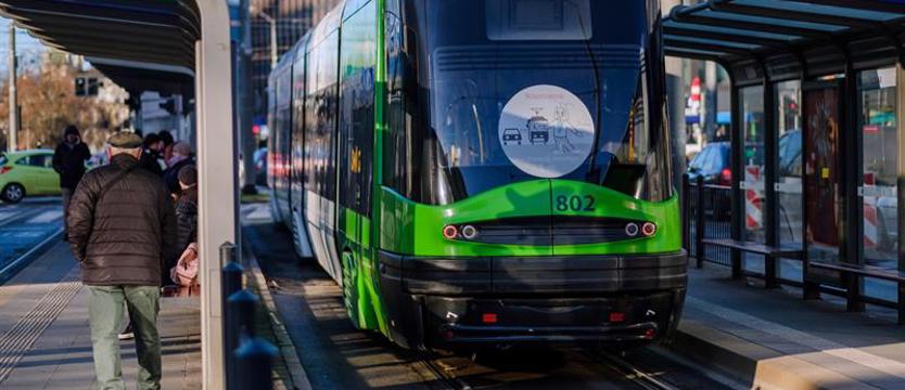 Skargi to codzienność. Człowiek rasy męskiej i niebieski but