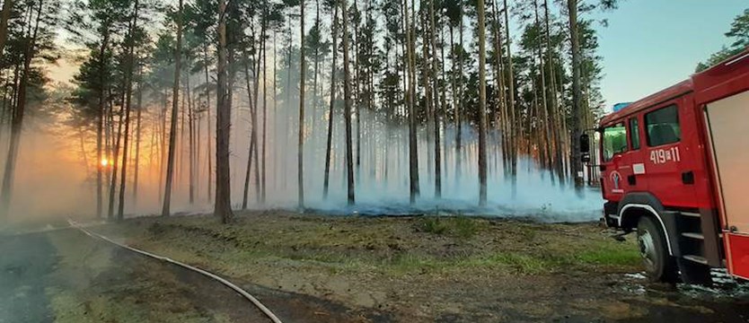 Rozpoczęła się akcja bezpośredniej ochrony przeciwpożarowej na terenie RDLP w Szczecinie