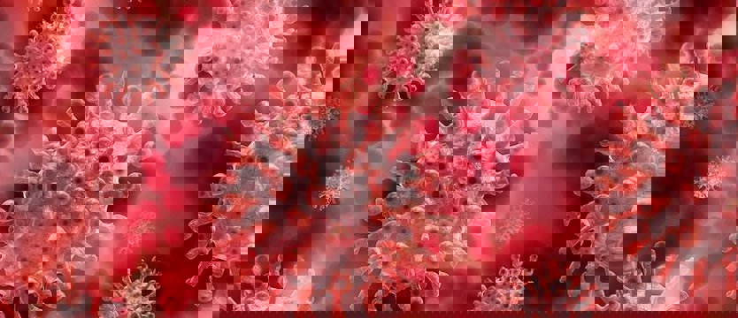 W sobotę w kraju ponad 15 tysięcy zakażeń koronawirusem. Zmarło 599 osób