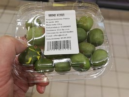 Minikiwi - nowe owoce na rynku. Małe, ale z dużym potencjałem