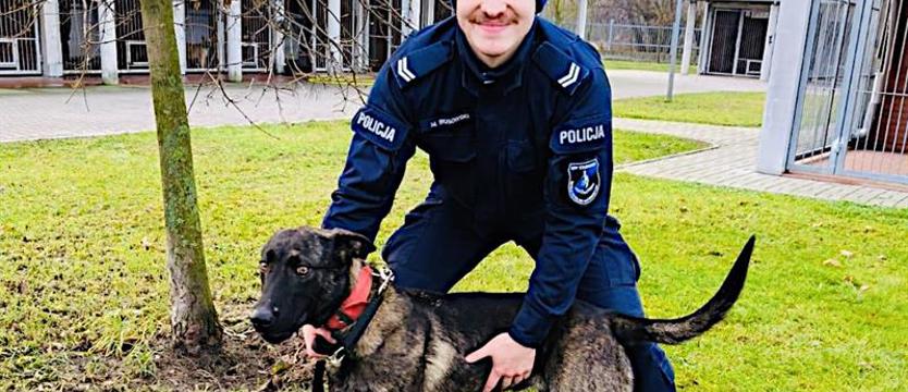 Tequila szkoli się do służby