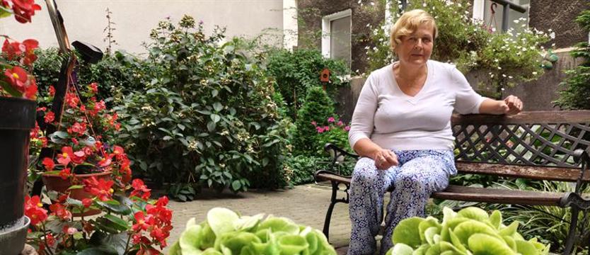 Cały Szczecin w kwiatach. Ogród dla przełamania szarości