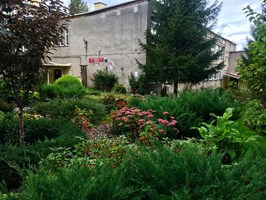 Mały ogród – wielka korzyść. Nowy zielony konkurs dla szczecińskich szkół