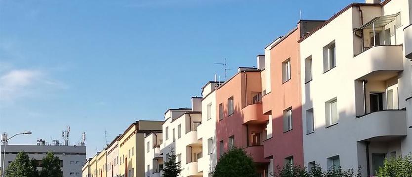 „Nowy europejski Bauhaus”