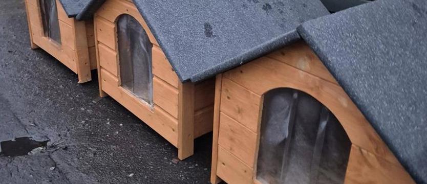 Nowe budy dla schroniska