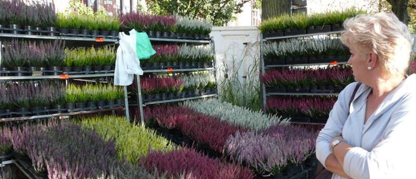 Weekend w ogrodzie Wałów Chrobrego. Zielony kiermasz i „Wałówka z przysmakami"