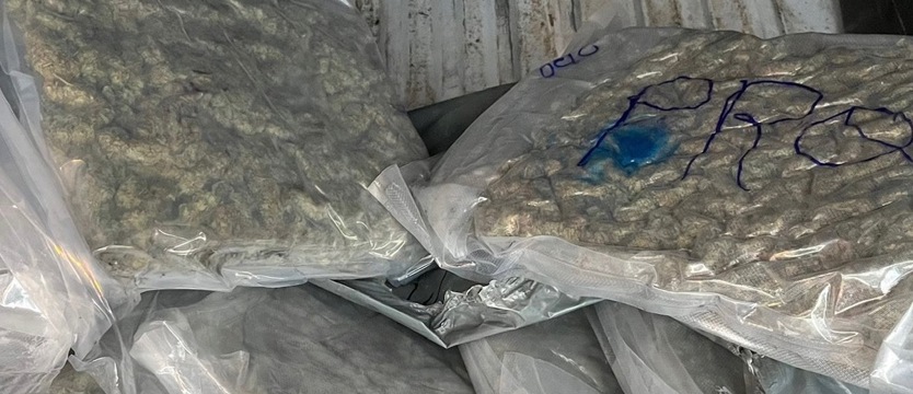 Przewoził 10 kg marihuany wartej prawie pół miliona złotych