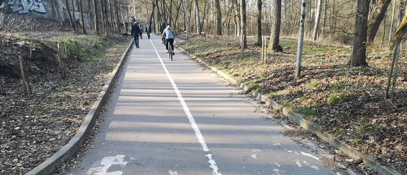 Nieczytelne oznakowanie trasy w Lasku Arkońskim