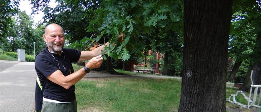 Sobota nad Syrenimi Stawami. Spacer wśród botanicznej zieleni