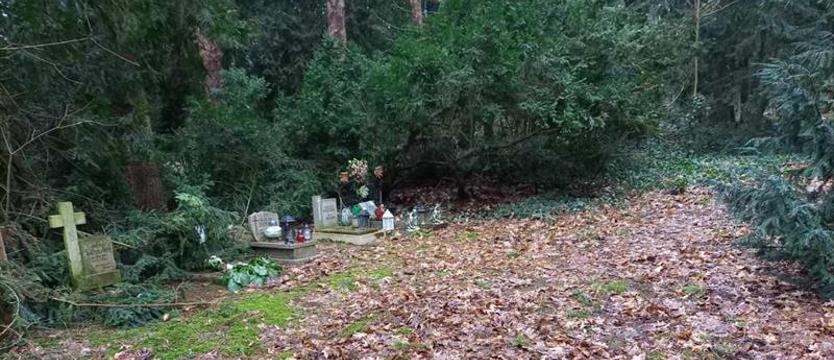 (Nie)ludzkie procedury bezdusznego prawa?