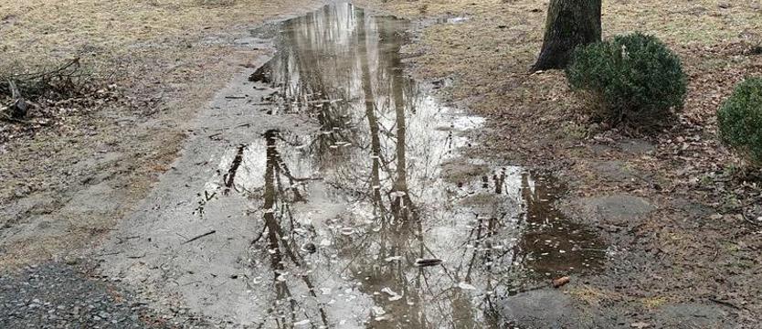 Park Batorego z kolejną modernizacją. Piesi zyskają nowe, bezpieczne alejki