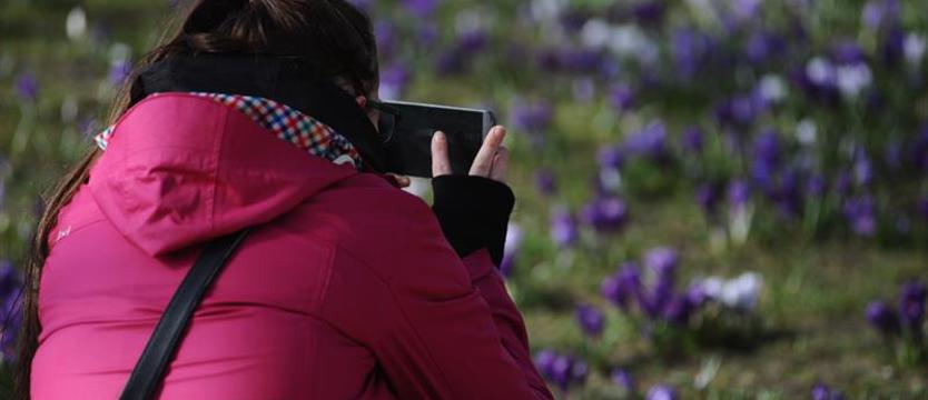 Podziwiać, fotografować, ale nie deptać! Wanadalizm może kosztować słono