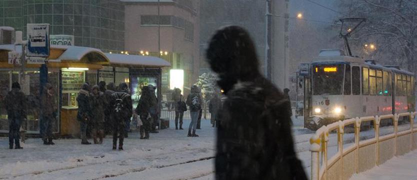 Jak jest zimno, to... zimno. Temperatura nie może być niższa niż osiem stopni
