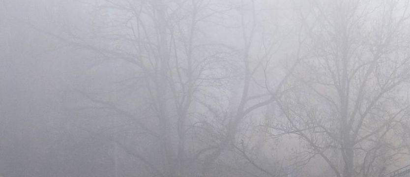 Gęsta mgła nad regionem