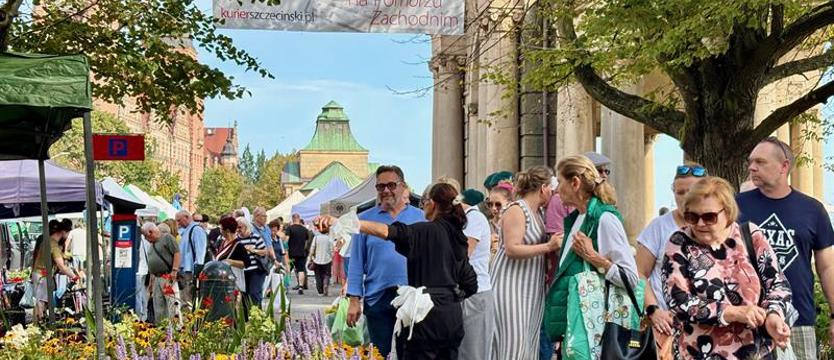 Zieleń, smaki i Szczecin. Czekając na ogród Wałów Chrobrego