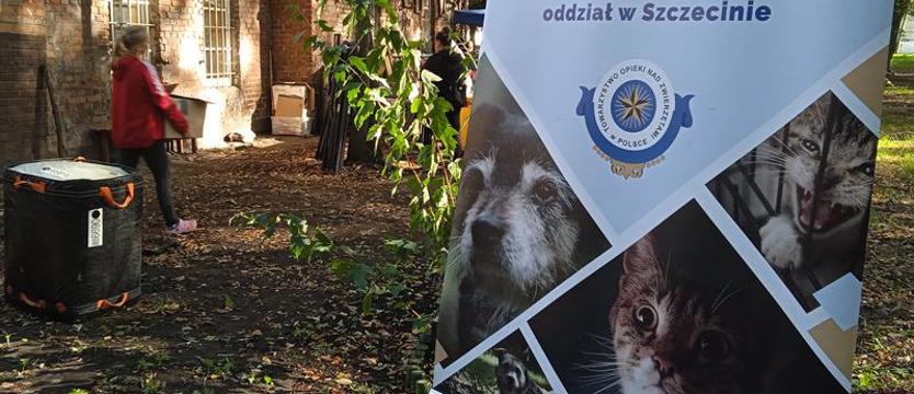 TOZ odwołuje weekendowe wydarzenie. „Lato w słoikach" dopiero w październiku