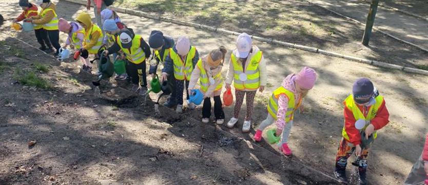 Sadzili drzewa, siali trawę i kwietną łąkę