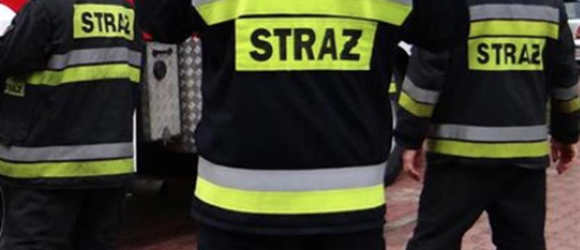 Pożar altanki, jedna osoba poszkodowana