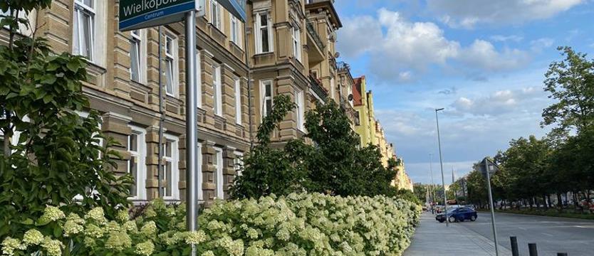 Za mało kamienic w miejskiej sieci ciepłowniczej. Wyzwania w centrum Szczecina
