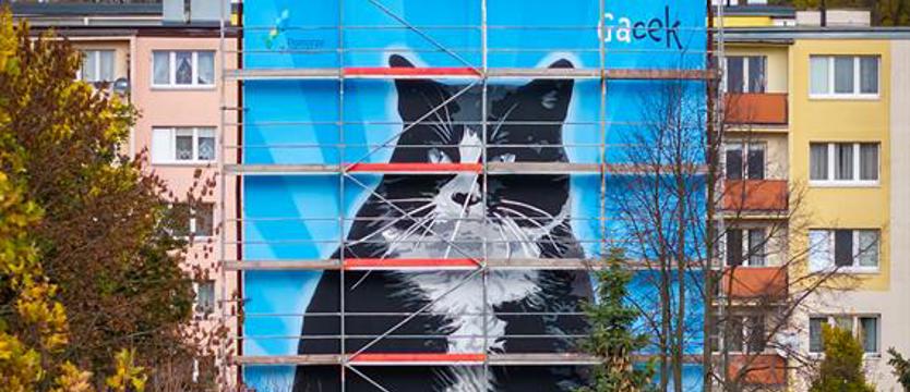 Street art i szczecińska legenda. Kot Gacek bohaterem muralu