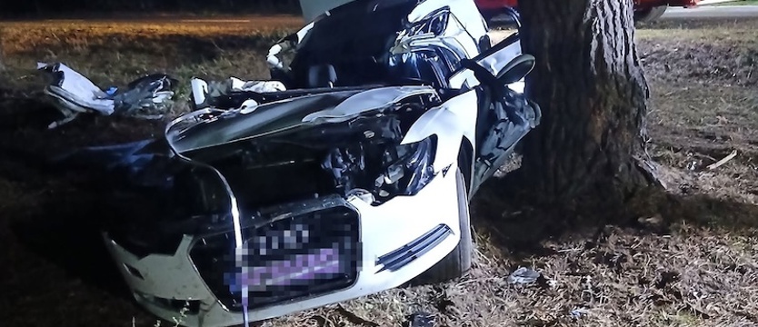 Tragiczny wypadek na DW142. Dwie osoby zginęły po uderzeniu w drzewo
