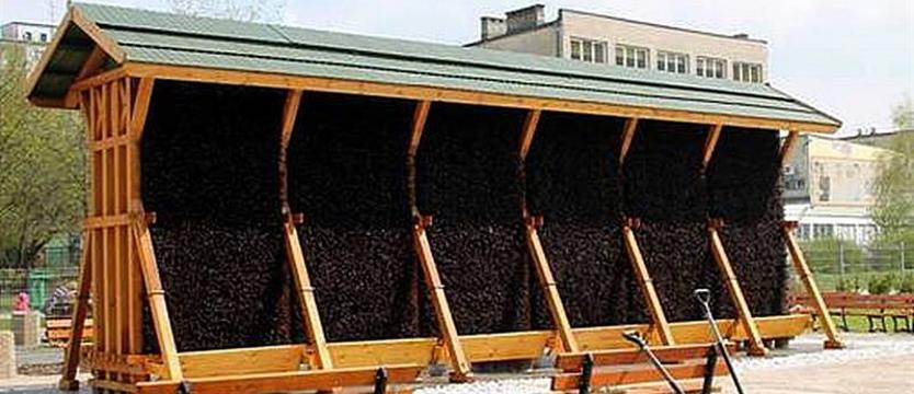 Głosuj na obywatelski Szczecin!