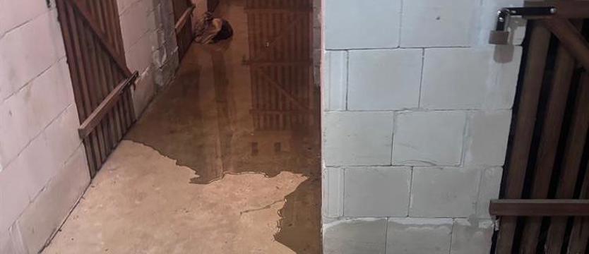 Woda w piwnicach na Flaminga. Lokatorzy walczą z zalaniami, STBS zapowiada kolejne ekspertyzy