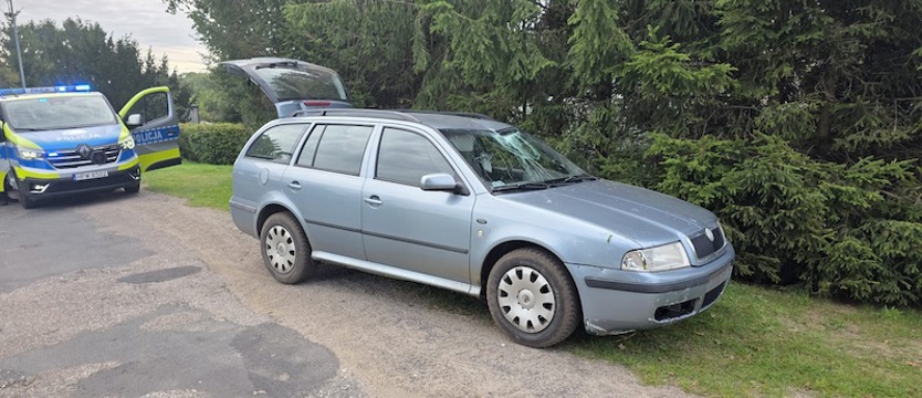Pijany, z dwoma dożywotnimi zakazami, uderzył samochodem w latarnię
