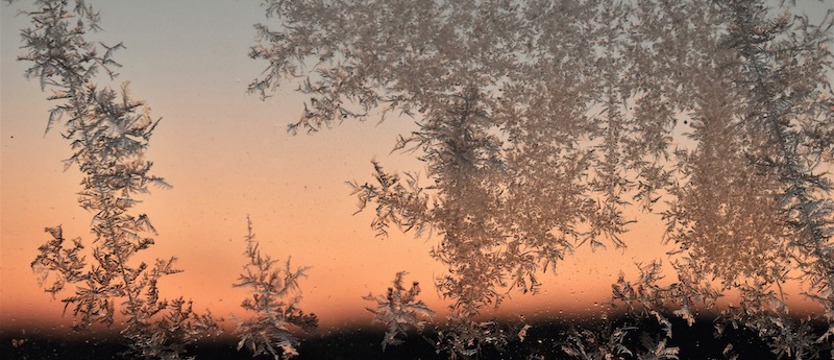 Ostrzeżenie przed mroźną nocą w naszym regionie