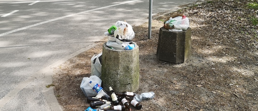 W Lasku Arkońskim grillowali, ale nie śmiecili