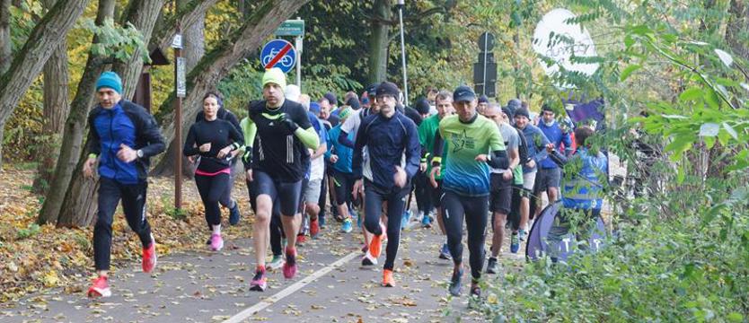 Lekkoatletyka. Jubileusz w Lasku Arkońskim, czyli 400. edycja Parkrunu Szczecin